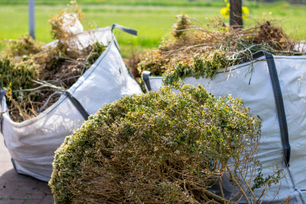 Best Dumpster Rental Services  in Evergreen, MT